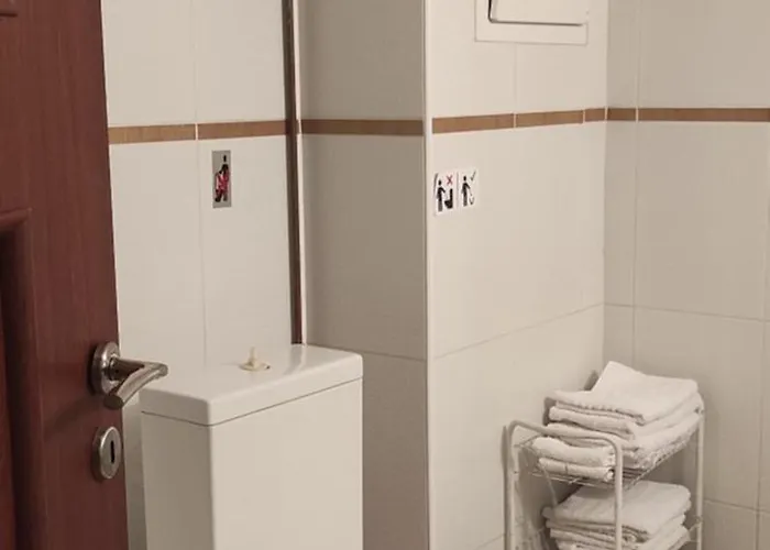 Elegant Luminous Downtown 公寓