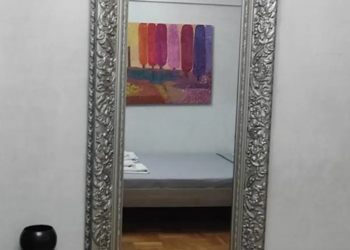 Elegant Luminous Downtown 公寓