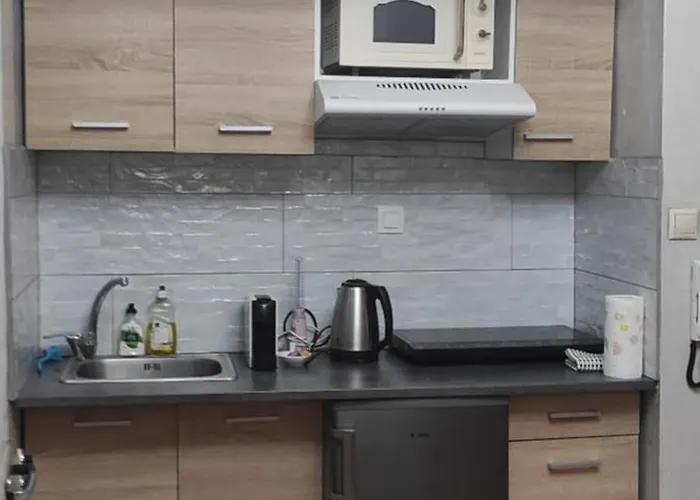 Elegant Luminous Downtown 公寓 *