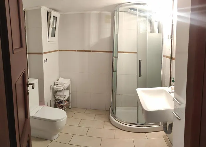 Elegant Luminous Downtown